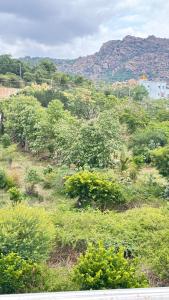 Fort Heaven Home Stay