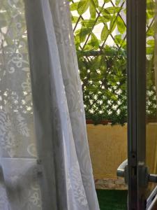 Paradis house