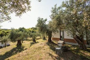 Olive Grove Serenity Retreat 2, Bungalow