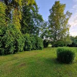 Miera pietura Kuldīgā, apartaments ar grilu