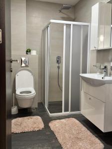 apartman Luna Binis