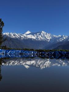 Shama Basecamp