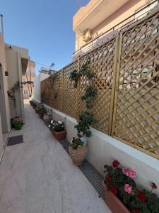 Olivea Apartments