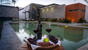 Casa Diamante Viñedos