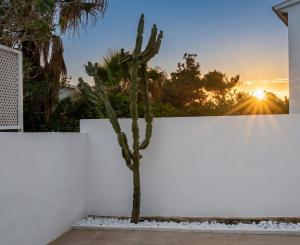 Apartamento junto a la Playa Chill Out Privado