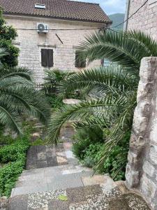 Petra House