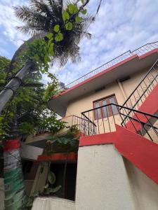 Coconut Tree House