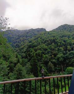 Kaçkin Bungalow with Jacuzzi in Nature