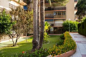 Las Lanzas Beach Apartment