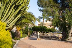 Las Lanzas Beach Apartment
