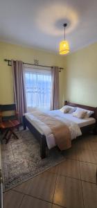 Docci Homes