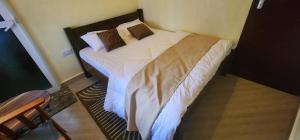 Docci Homes