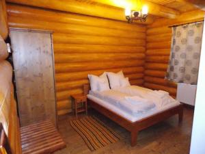 Pensiunea Izbucul Tauz