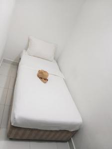 Swing & Pillows - Kuala Selangor