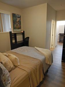 Luxury Single Suite