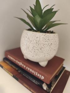 Coltea Cozy Studio