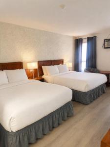 Maple Creek Motor Inn