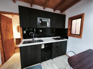 Hermosa cabaña Pucon Caburga 2