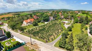 Romsics Pince Vendégház - Biró Tours Nr 219