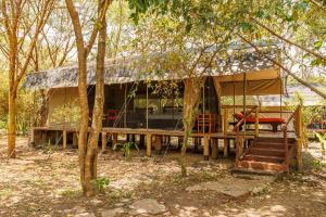 Aruba Mara Camp & Safaris