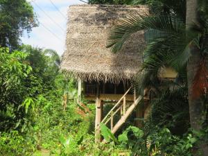 Sigiri Veenus Tree House