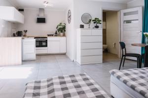 Motel Witnica