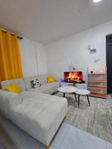Armo Homes