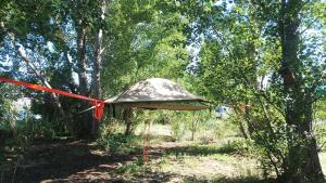 Tree Tent Bratislava