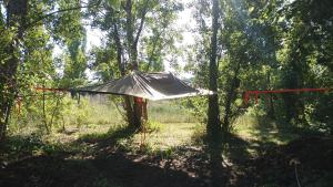 Tree Tent Bratislava