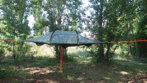 Tree Tent Bratislava