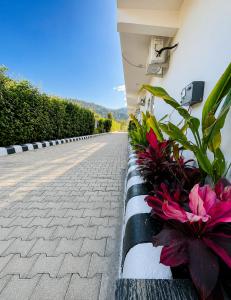 Dreamland Resort Jim Corbett