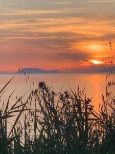 Love cilento vacanze cilentane