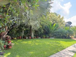 One bedroom Shanty botanical by The Prime Escape