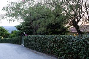 Theodorou Art House