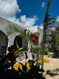 Casa Mysa Villas