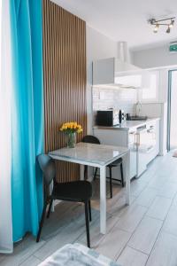 Motel Witnica