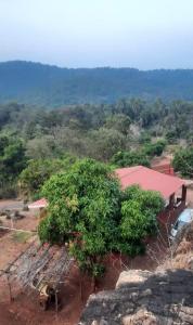Om Gajanan Farms - Stay in the Arms of Nature