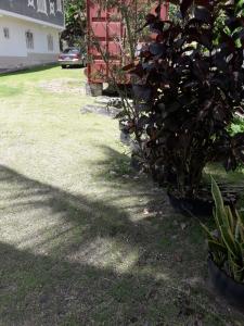 Ground floor home in Port Antonio