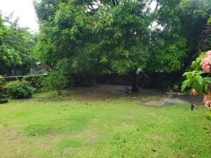 Ground floor home in Port Antonio