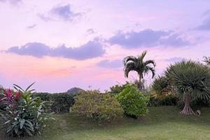 Hilltop Top Garden Villa CAN