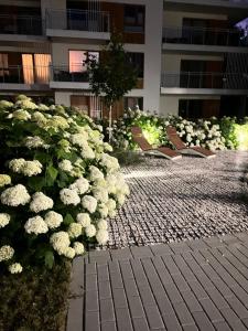 Harmonia Family Friendly Apartament SAUNA SIŁOWNIA GARAŻ