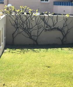 La Casita