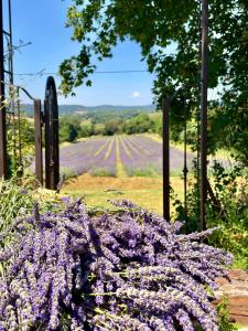 Agriturismo CasaViVa