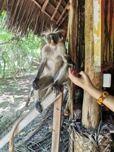 COCO REEF ECOLODGE