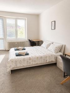 2-Bd Apartment - Festival Pohoda Nearby