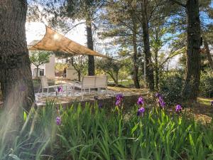 Trulli Lumos - close to Alberobello with private pool