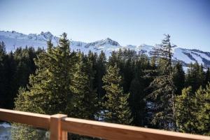Luxury Penthouse Ski-in andout Panoramic View
