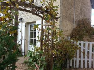 Les Roses Trémières