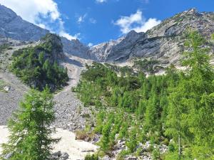 Lunas Mountain House - Jezersko