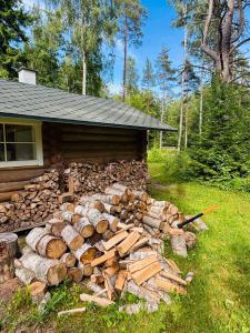 Viinapeedu Farm Holiday Home, Kõrgessaare, Hiiumaa